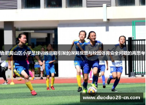 合肥蜀山区小学足球训练悲剧引发的深刻反思与校园体育安全问题的再思考